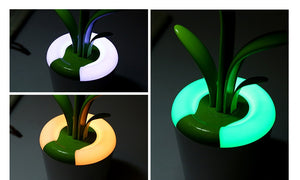 Modern Desk Light – USB Rechargeable LED Lamp with Eye Protection | Decoraway