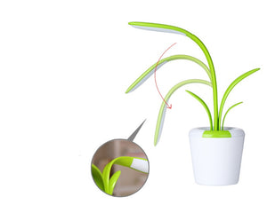 Modern Desk Light – USB Rechargeable LED Lamp with Eye Protection | Decoraway