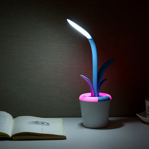 Modern Desk Light – USB Rechargeable LED Lamp with Eye Protection | Decoraway